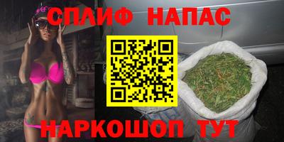 дурь Бердск